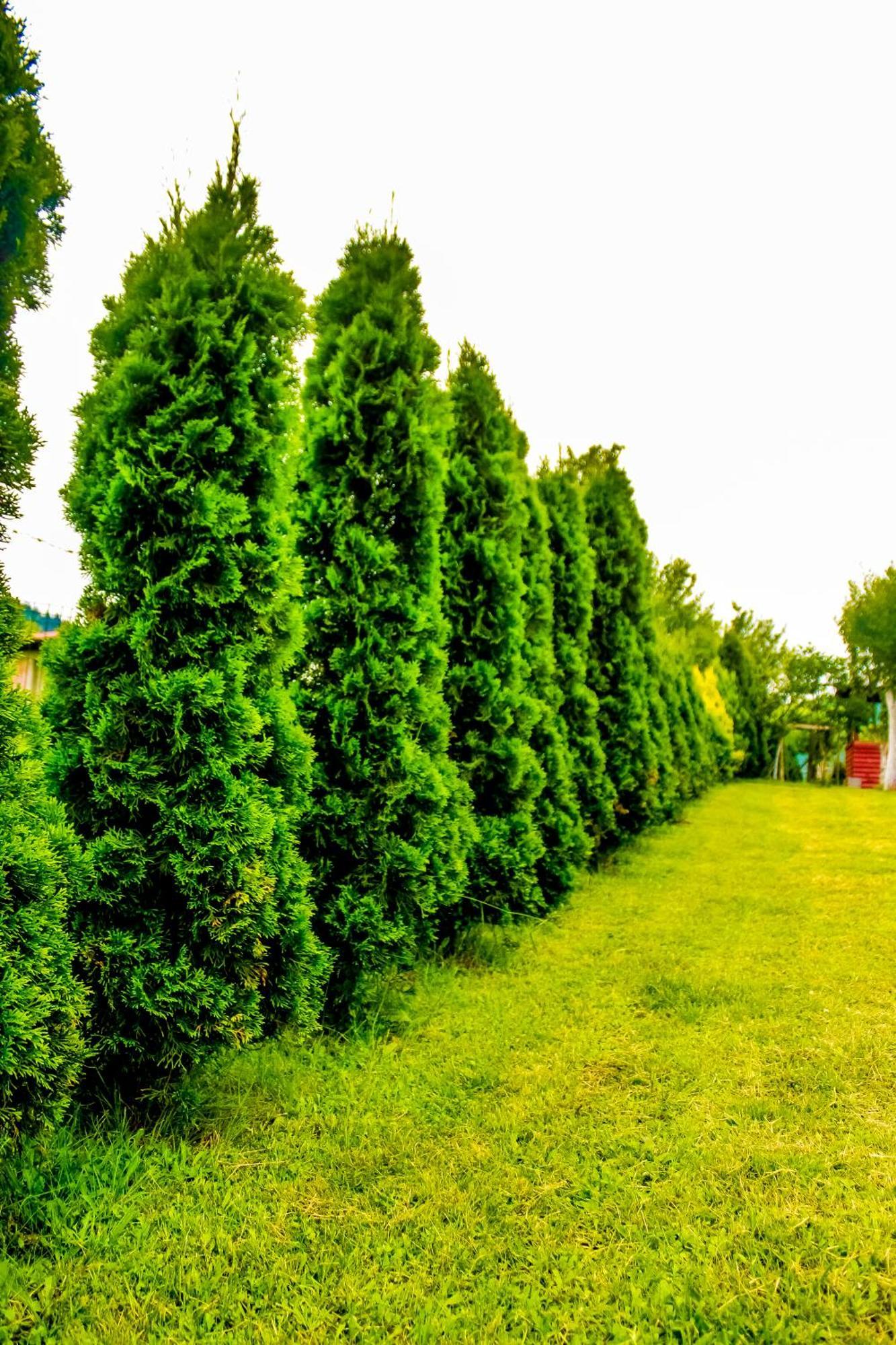 Villa Usivak For Green Quiet Holiday Near Sarajevo#Travellerawards2025 ภายนอก รูปภาพ